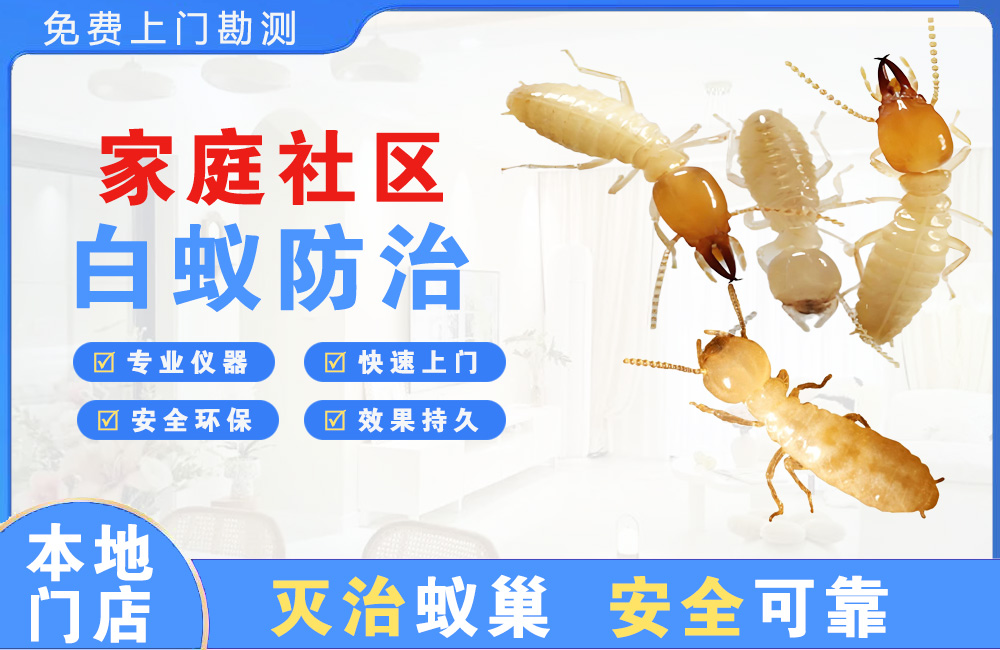 琼海家庭社区白蚁防治