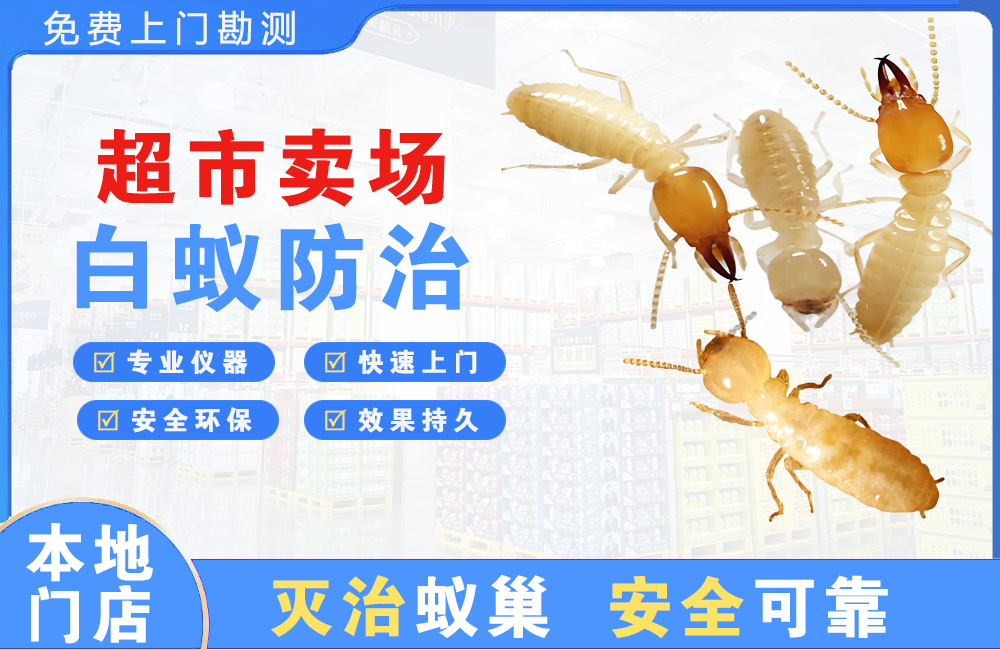 琼海超市卖场白蚁防治