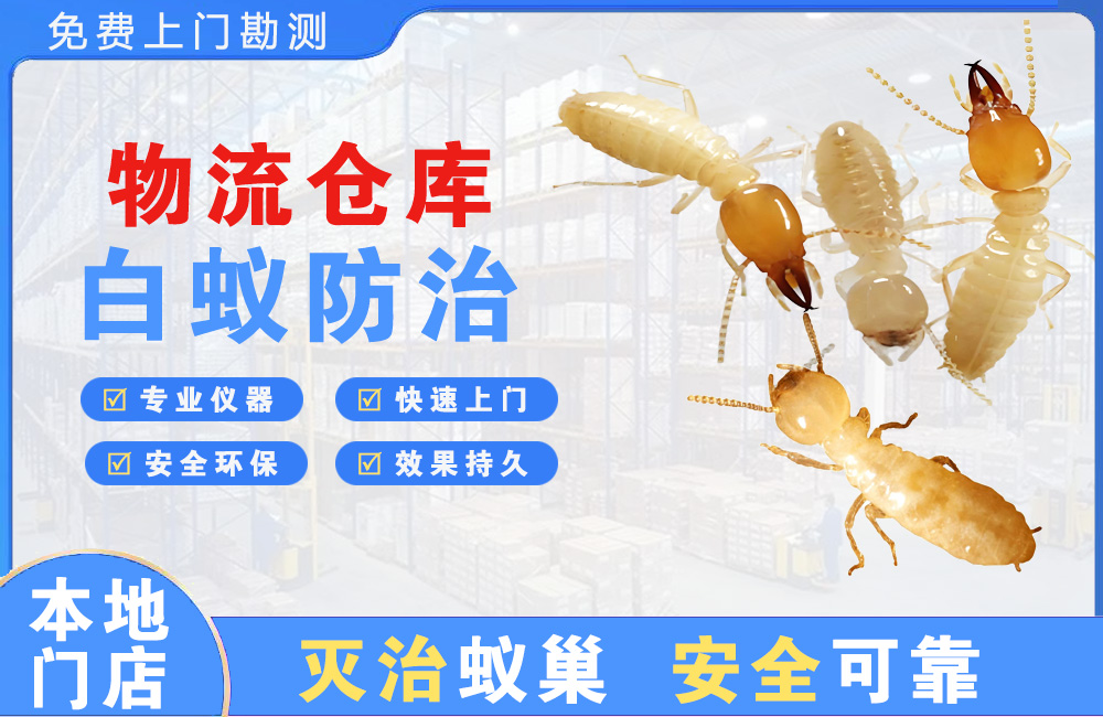 琼海物流仓库白蚁防治