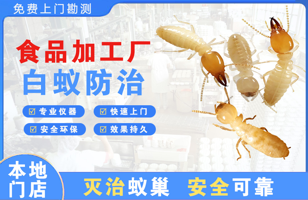 琼海食品加工厂白蚁防治