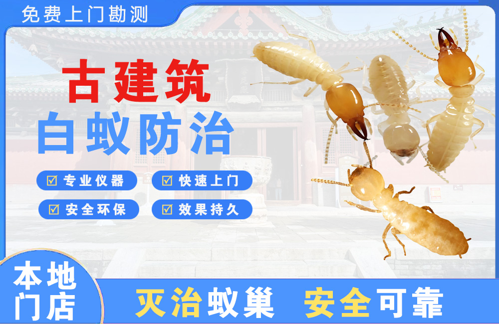 琼海古建筑白蚁防治