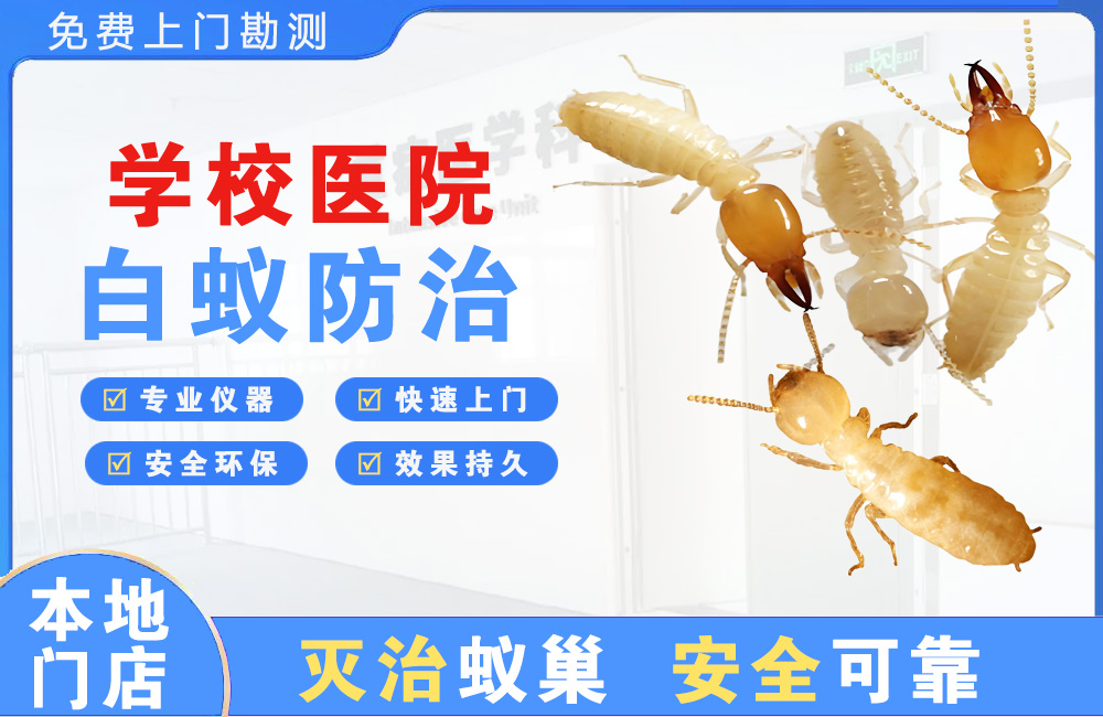 琼海学校医院白蚁防治