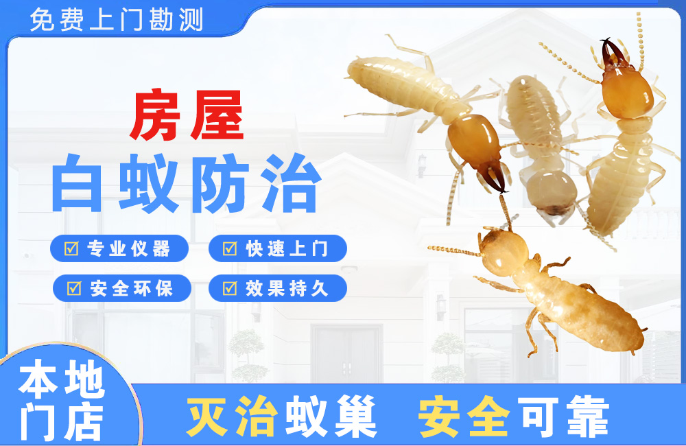琼海房屋白蚁防治