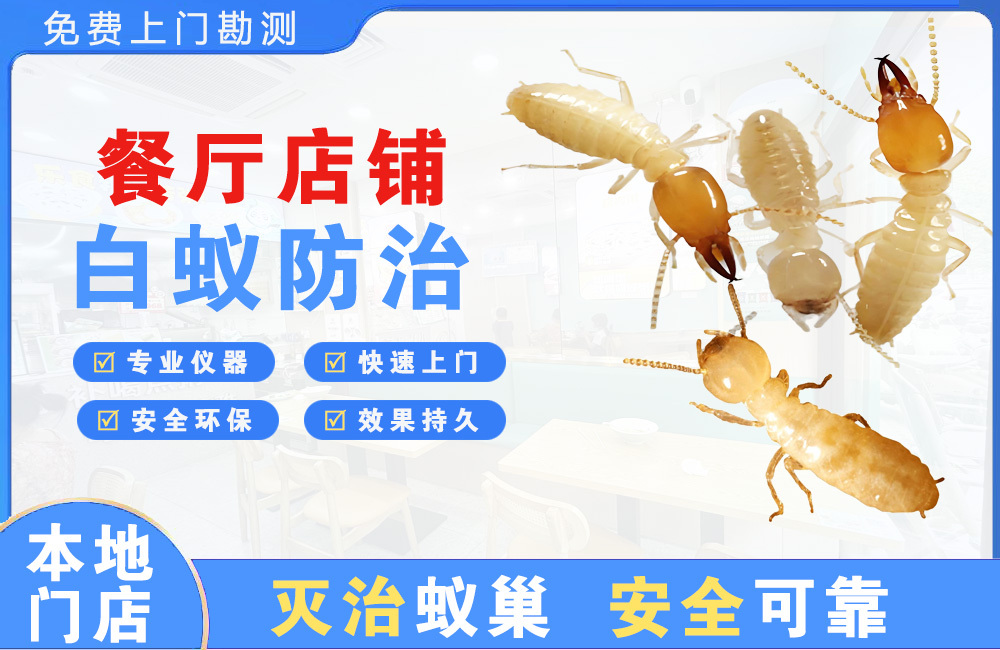 琼海餐厅店铺白蚁防治